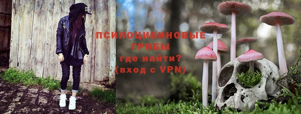 тгк Беломорск