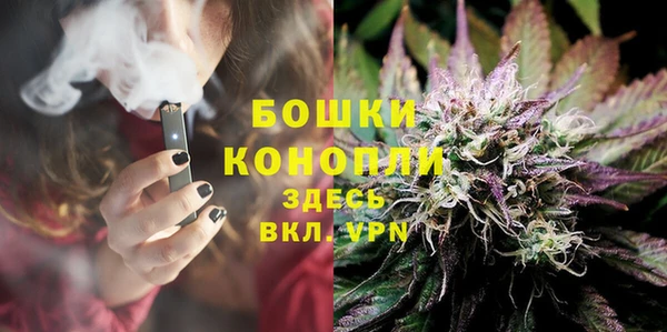 крисы Белоозёрский
