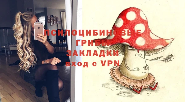 тгк Беломорск